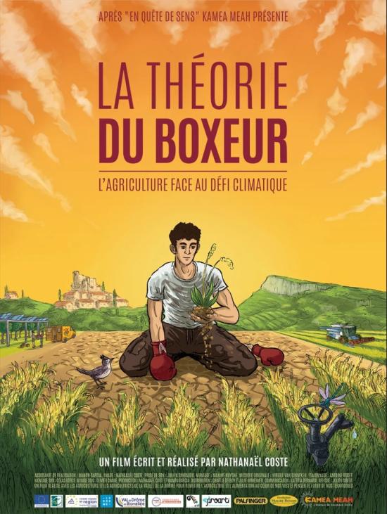 Ciné / Débat • La théorie du boxeur