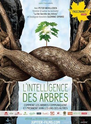 Ciné - Débat • L'intelligence des arbres